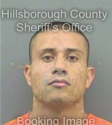 Martinez Juan - Hillsborough County, FL 