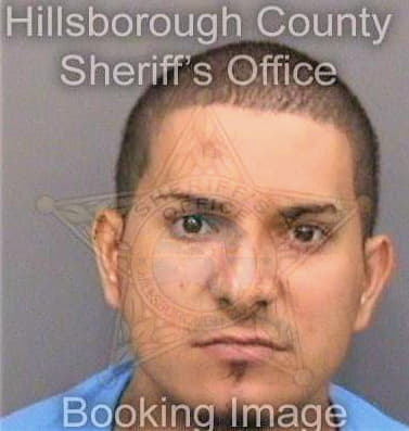 Santiagoandino Jeffrey - Hillsborough County, FL 