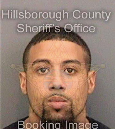 Douglas Bryant - Hillsborough County, FL 