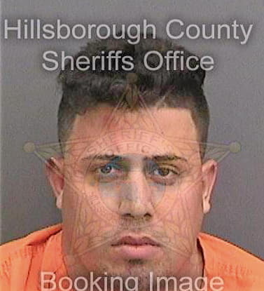 Cartayadominguez Eldy - Hillsborough County, FL 