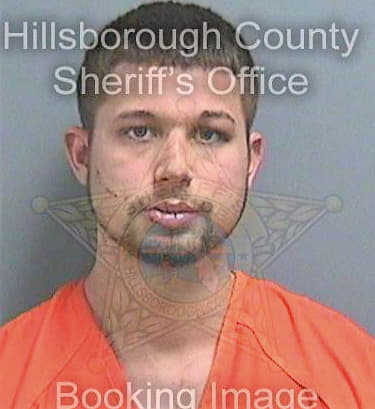 Luzey Feihvean - Hillsborough County, FL 