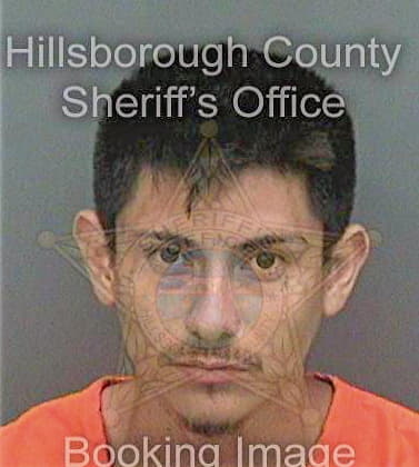 Castrejon Alberto - Hillsborough County, FL 