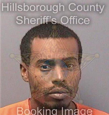 Davis Paul - Hillsborough County, FL 