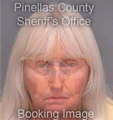 Bauman Diane - Pinellas County, FL 