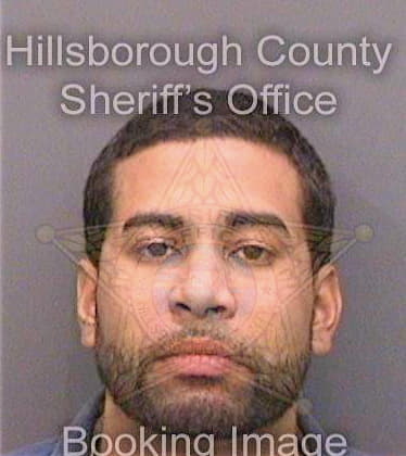 Salomon Louis - Hillsborough County, FL 