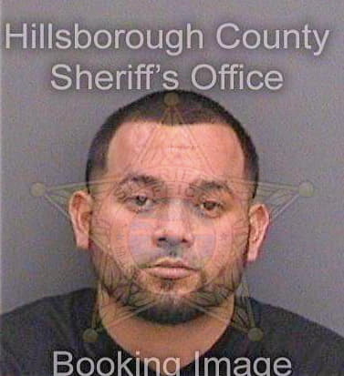 Coronagonzalez Henry - Hillsborough County, FL 