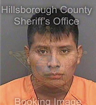 Gomezvazquez Nicolas - Hillsborough County, FL 