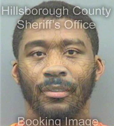 Mcnish Mario - Hillsborough County, FL 