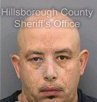 Francoperez Ramon - Hillsborough County, FL 