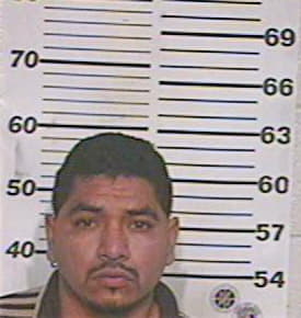 Martinez Manuel - Hidalgo County, TX 