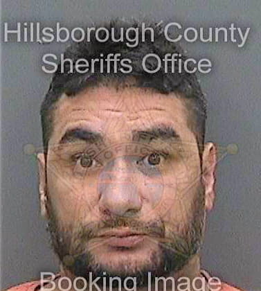 Medina Amilcar - Hillsborough County, FL 