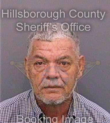 Gonzalez Carlos - Hillsborough County, FL 