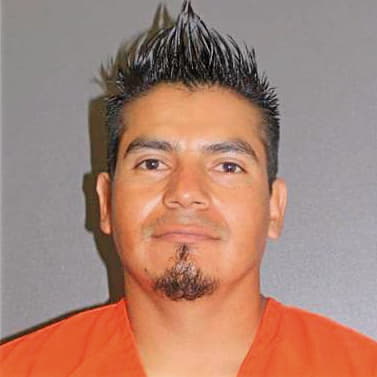 Perezgarcia Jose - Volusia County, FL 