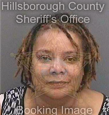 Council Tina - Hillsborough County, FL 