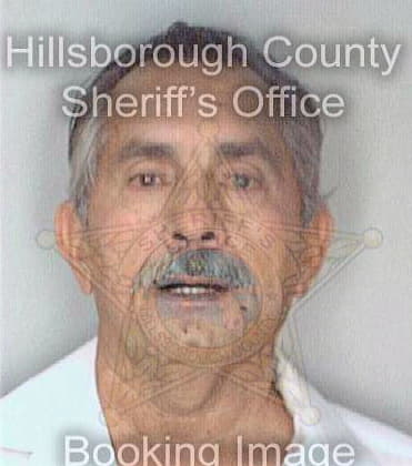 Martinez Gerardo - Hillsborough County, FL 