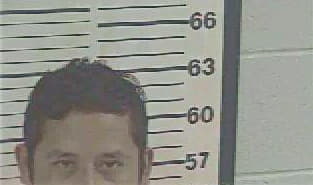 Hernandez Mario - Tunica County, MS 