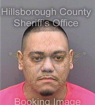 Ramos Jose - Hillsborough County, FL 