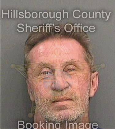 Zelenka Michael - Hillsborough County, FL 