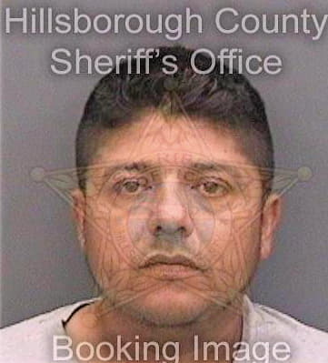 Sanchezcastro Tomas - Hillsborough County, FL 