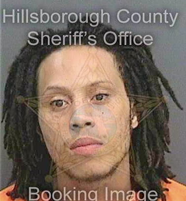 Lewis Sayyid - Hillsborough County, FL 