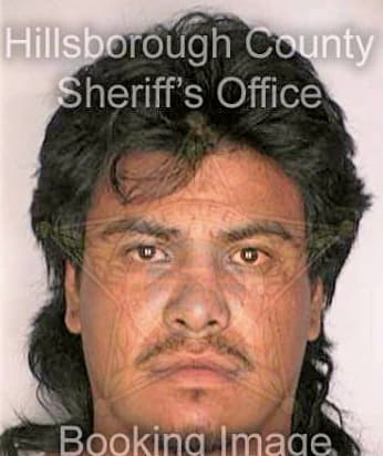 Guzmanvillanueva Juan - Hillsborough County, FL 