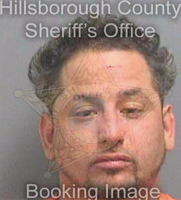 Rivera David - Hillsborough County, FL 