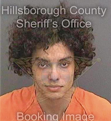 Melendez Daniel - Hillsborough County, FL 