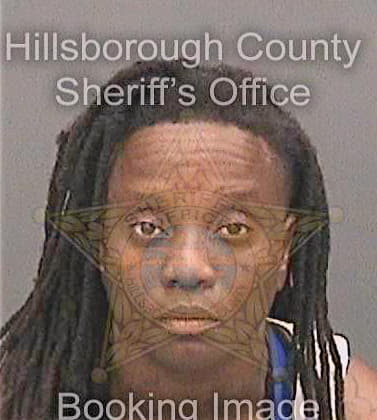 Mcknight Marshanda - Hillsborough County, FL 