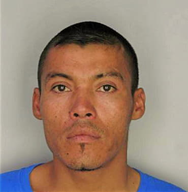 Mendoza Sergio - Hillsborough County, FL 