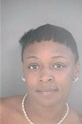 Mcduffie Sierra - Hillsborough County, FL 