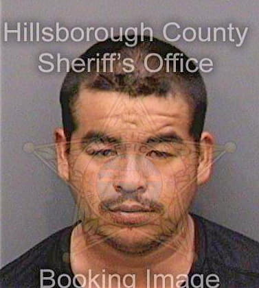 Galvanramirez Daniel - Hillsborough County, FL 