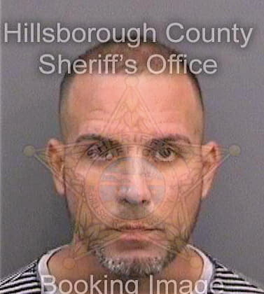 Betancourt Eliezer - Hillsborough County, FL 