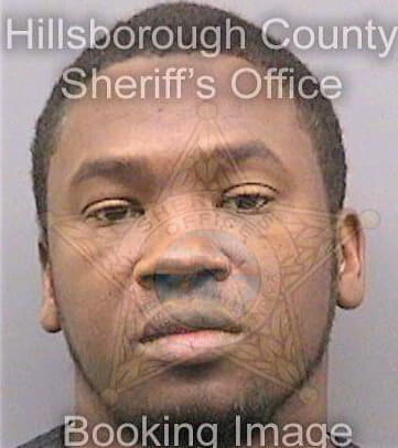 Hudgins Andre - Hillsborough County, FL 