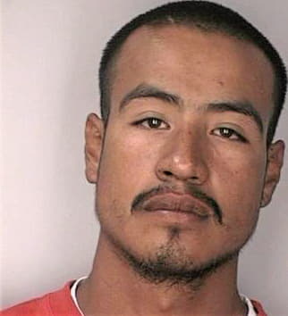 Silva Carlos - Hillsborough County, FL 