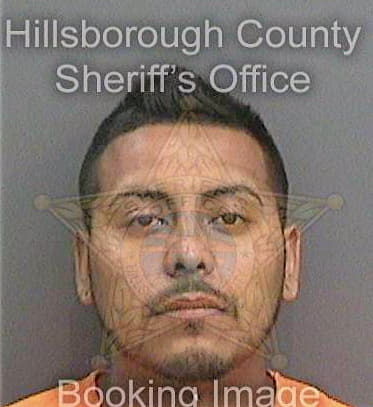 Cardenascalderon Jonathan - Hillsborough County, FL 