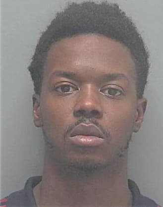 Atkinson Tyrell - Lee County, FL 