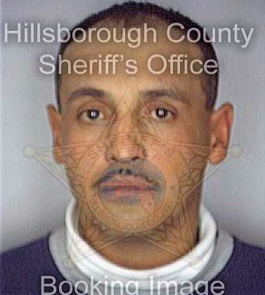 Mendoza Wifredo - Hillsborough County, FL 