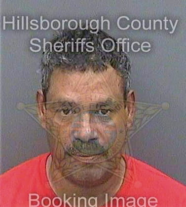 Ortiz Efrain - Hillsborough County, FL 