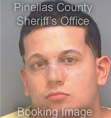 Bradfield Joshua - Pinellas County, FL 