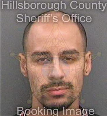 Sanchez Joshua - Hillsborough County, FL 