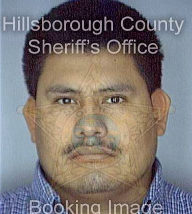 Perez Pedro - Hillsborough County, FL 