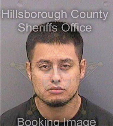 Santoyo Renan - Hillsborough County, FL 