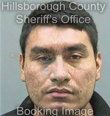 Clementebarrita David - Hillsborough County, FL 