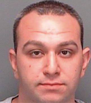 Asmakis Michael - Pinellas County, FL 