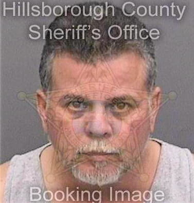 Melendezreyes Osvaldo - Hillsborough County, FL 