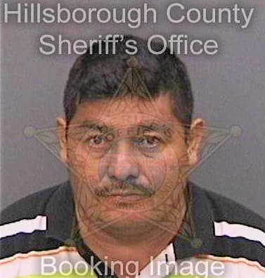 Espinosa Pedro - Hillsborough County, FL 