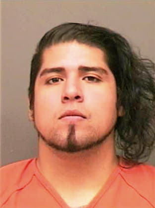 Mendoza Aurelio - Montgomery County, TN 