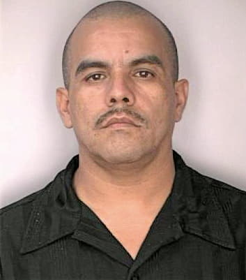 Sermeno Carlos - Hillsborough County, FL 