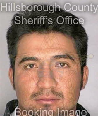 Mejiahernandez Adolfo - Hillsborough County, FL 