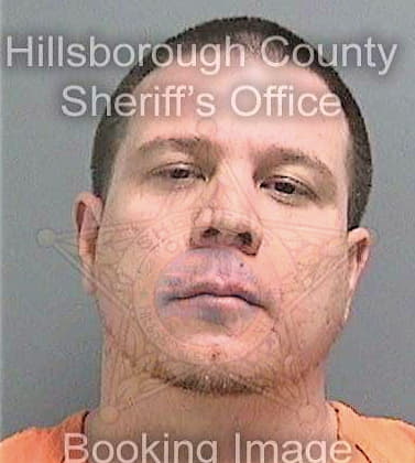 Darrigo Ryan - Hillsborough County, FL 